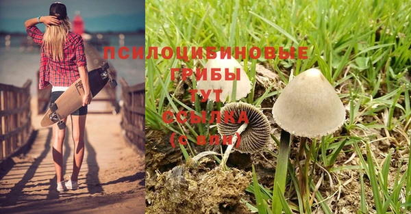 каннабис Богородск