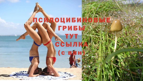 спайс Арсеньев