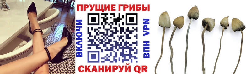 KRAKEN как зайти  Качканар  Псилоцибиновые грибы Magic Shrooms  наркотики 